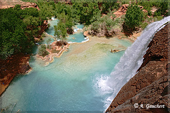 Havasu Fall vom Top